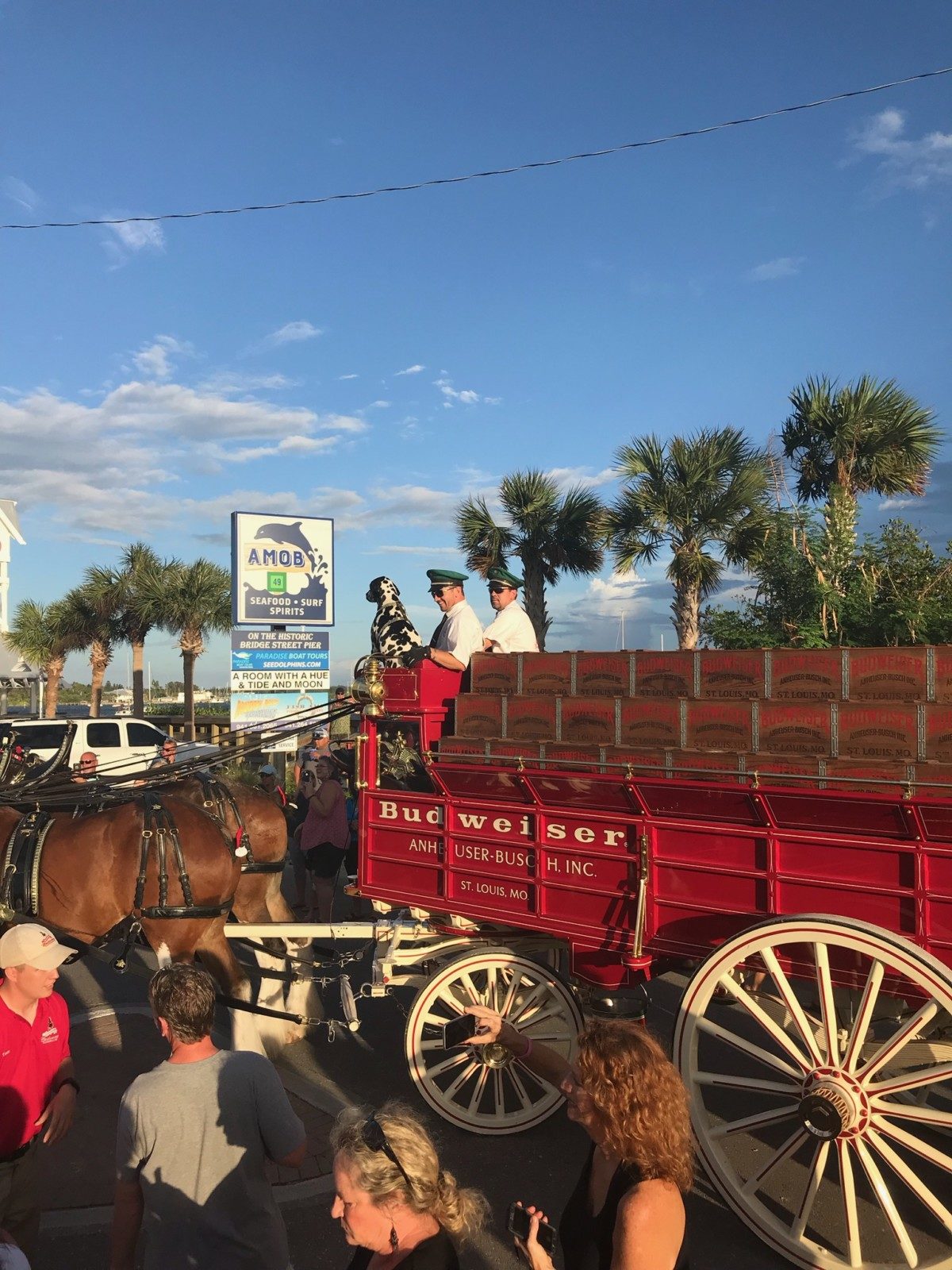 HISTORIC BRIDGE STREET WELCOMES THE BUDWEISER CLYDESDALES